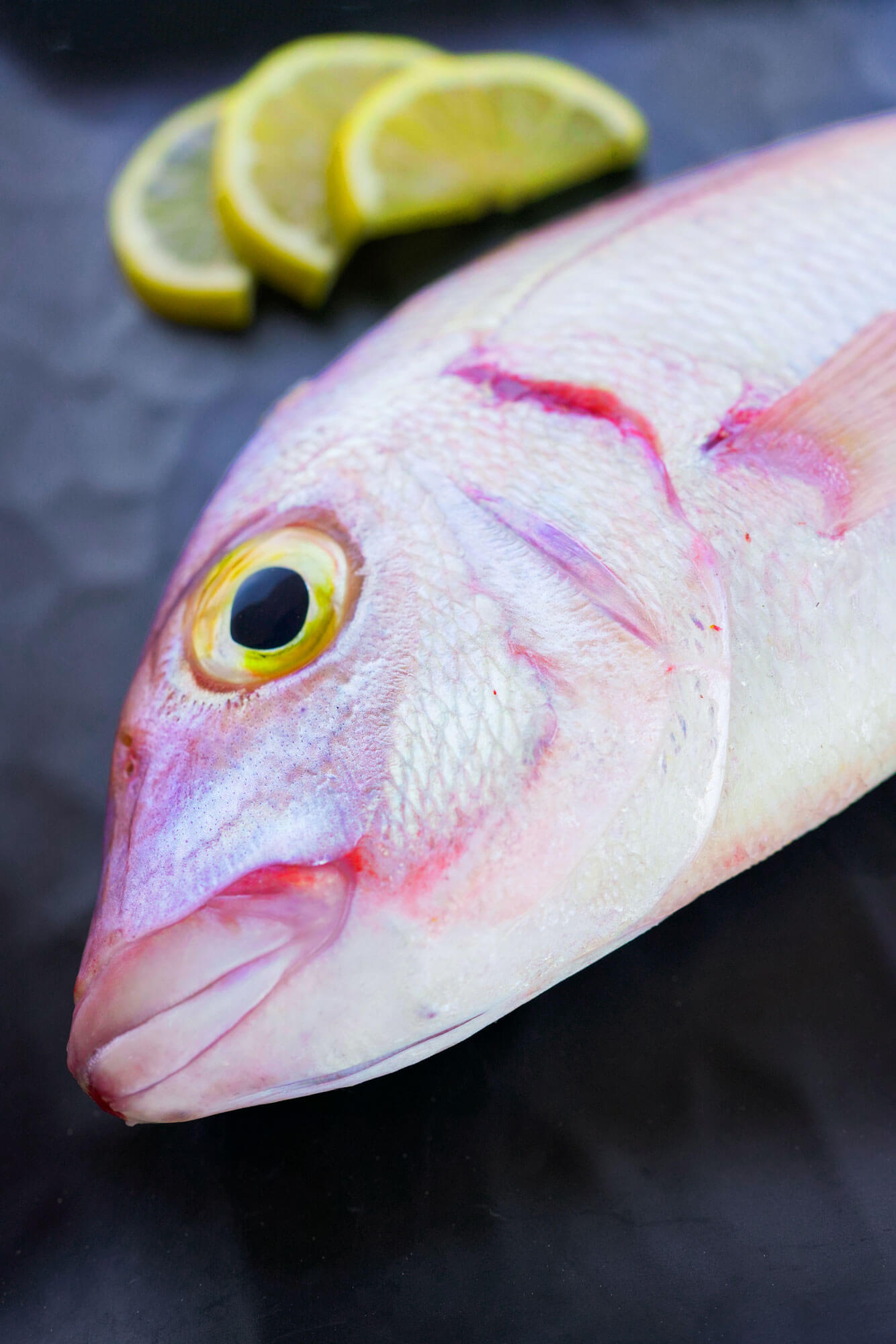 Fish food